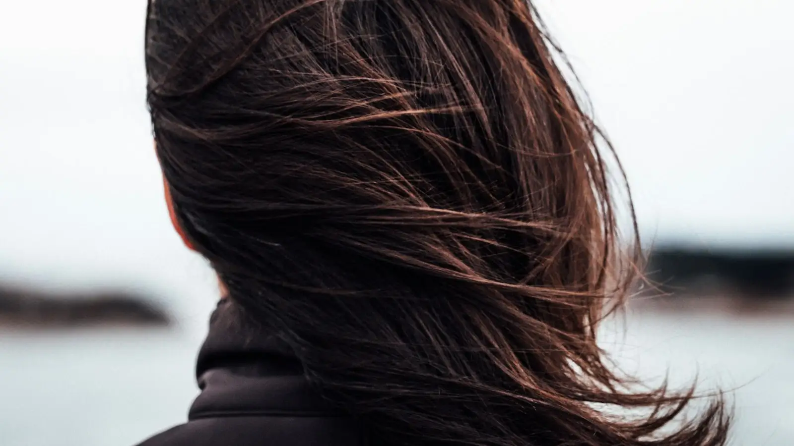 Brown hair moving in the breeze, viewed from behind