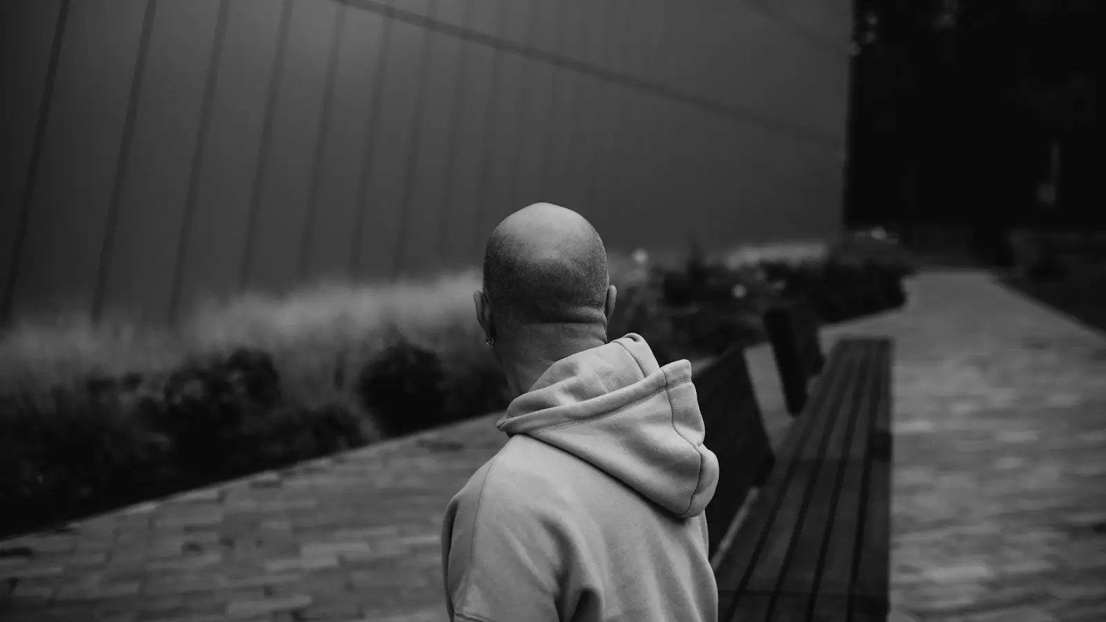 A man with a closely shaved head seen from behind
