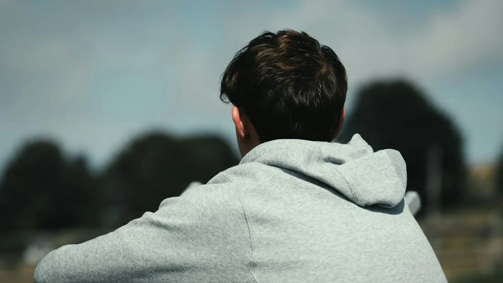 A man in a grey hoodie seen from behind, looking out over the countryside