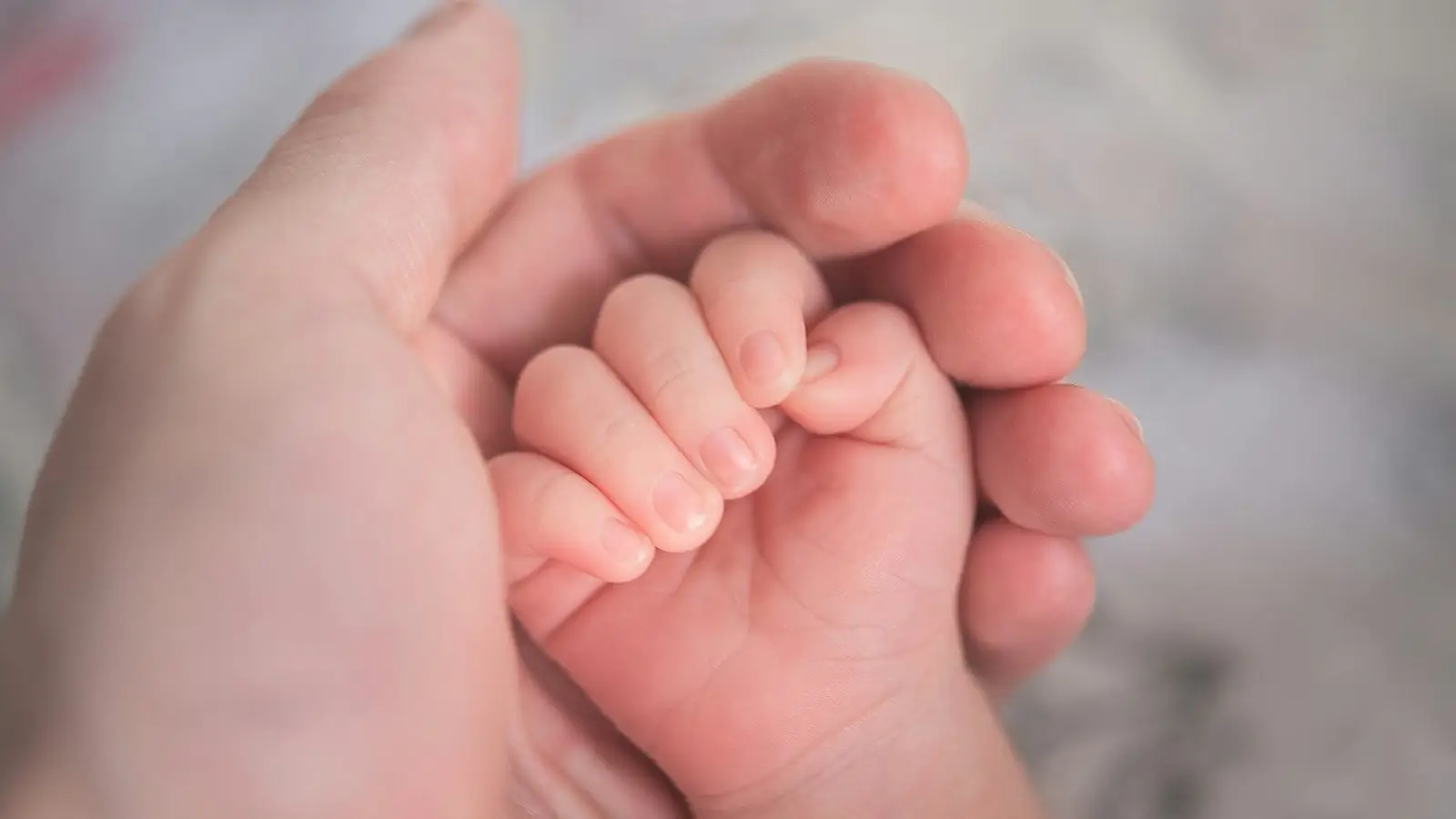 A baby's hand held gently in a parent's hand