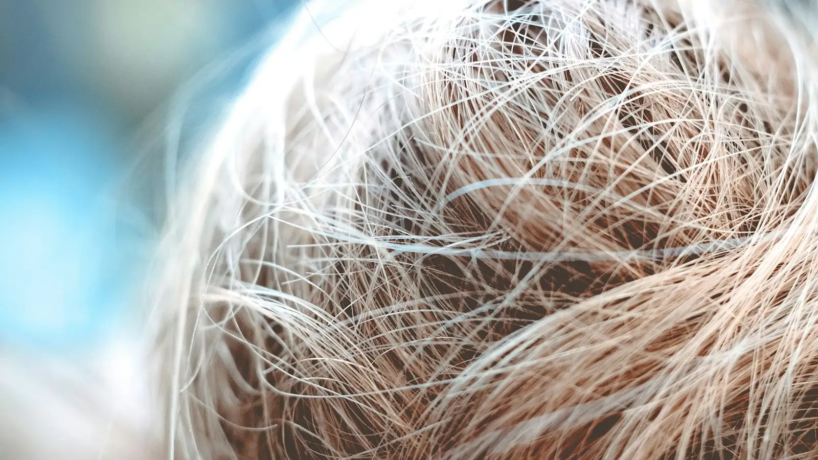 Close view of light, fine hair on the top of a head