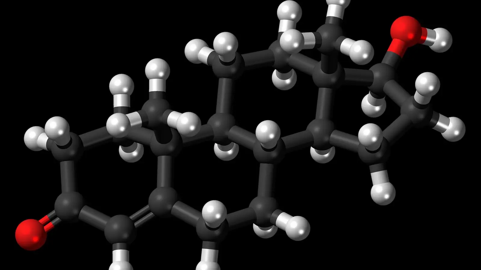 Ball and stick model of testosterone, a substrate of 5 alpha reductase