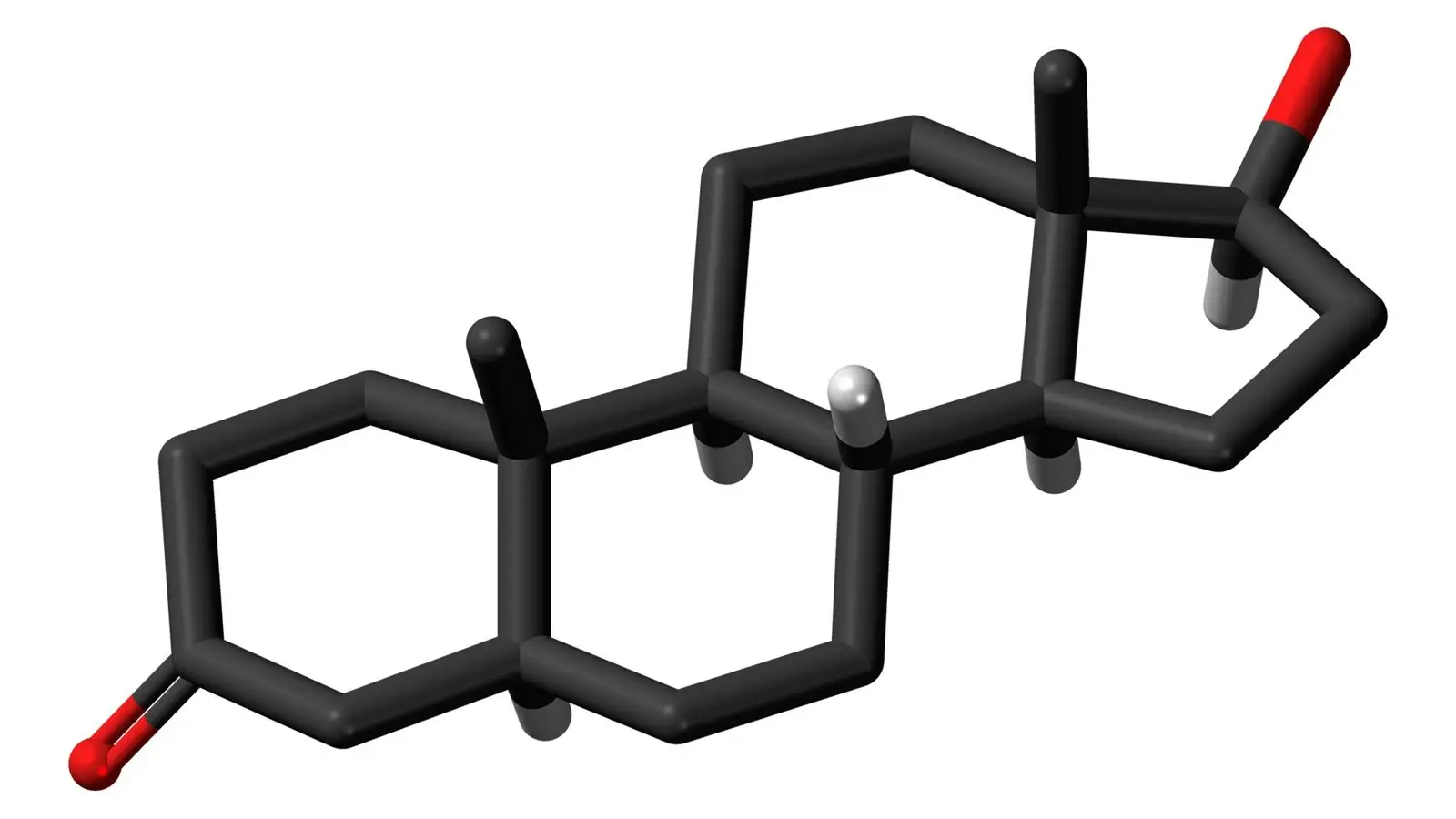 Three dimensional stick model of the dihydrotestosterone molecule