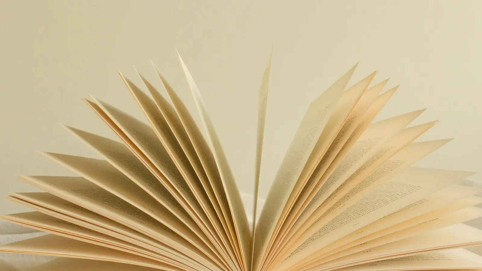 An open book with its pages fanned out against a plain light background