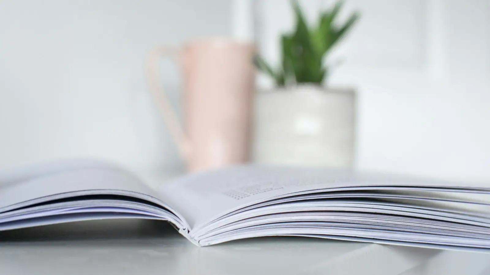 Open book on a white table in soft daylight with a plant behind